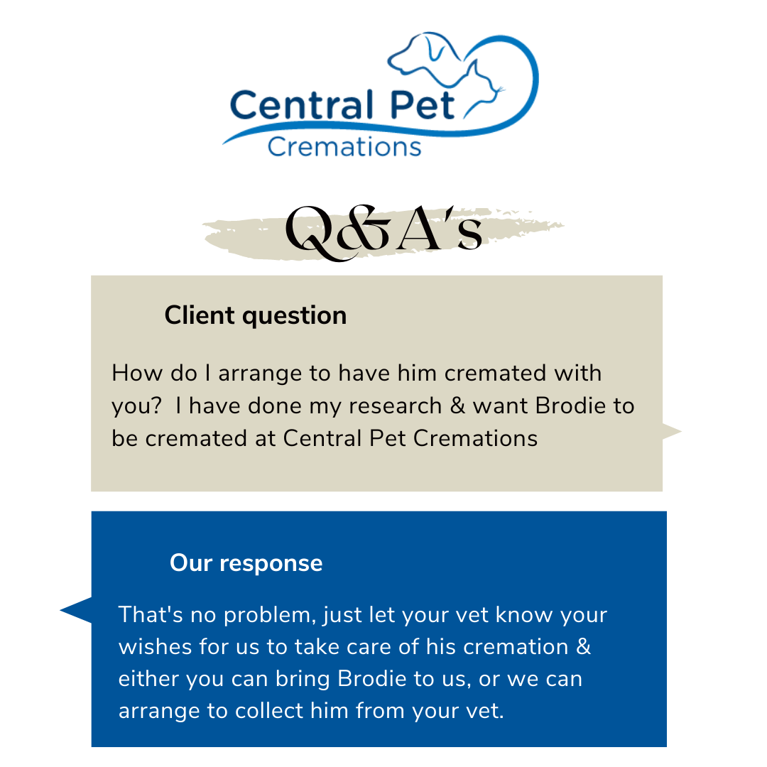 Pet cremation company in Central Scotland (3)