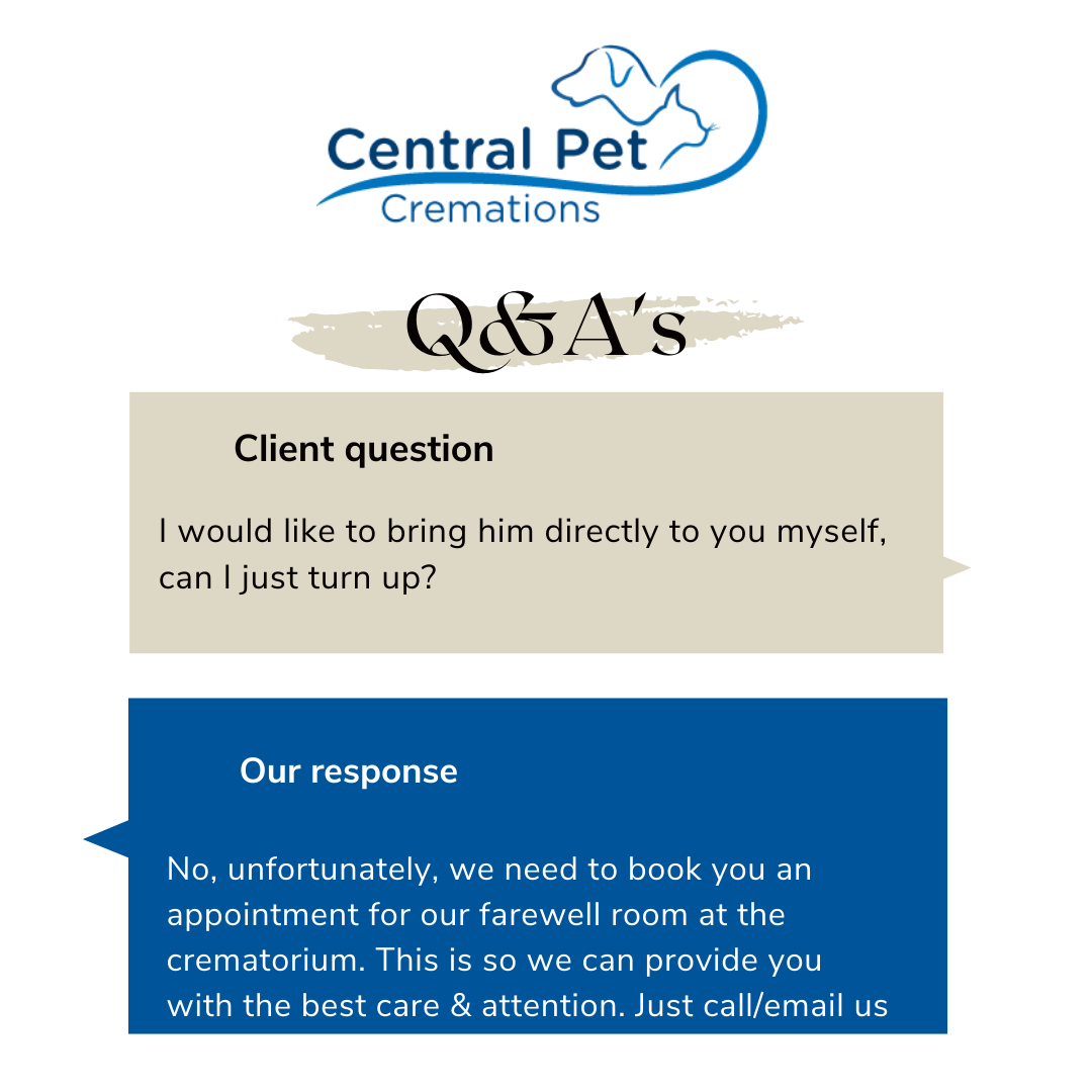 Pet cremation company in Central Scotland (4)