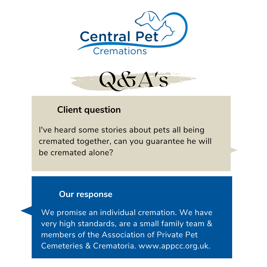 Pet cremation company in Central Scotland (6)